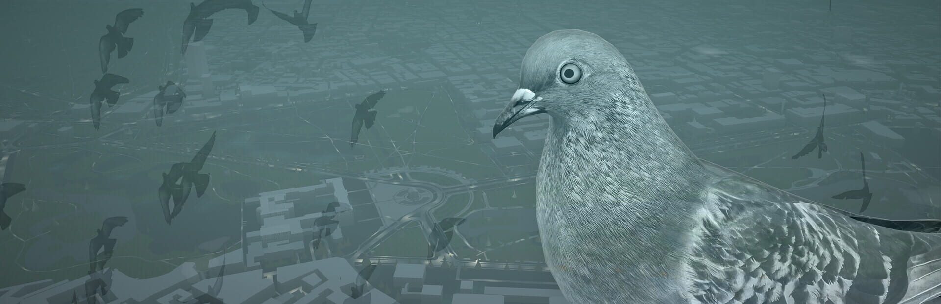 The Pigeon: A Love Story Takes Flight on Steam This August