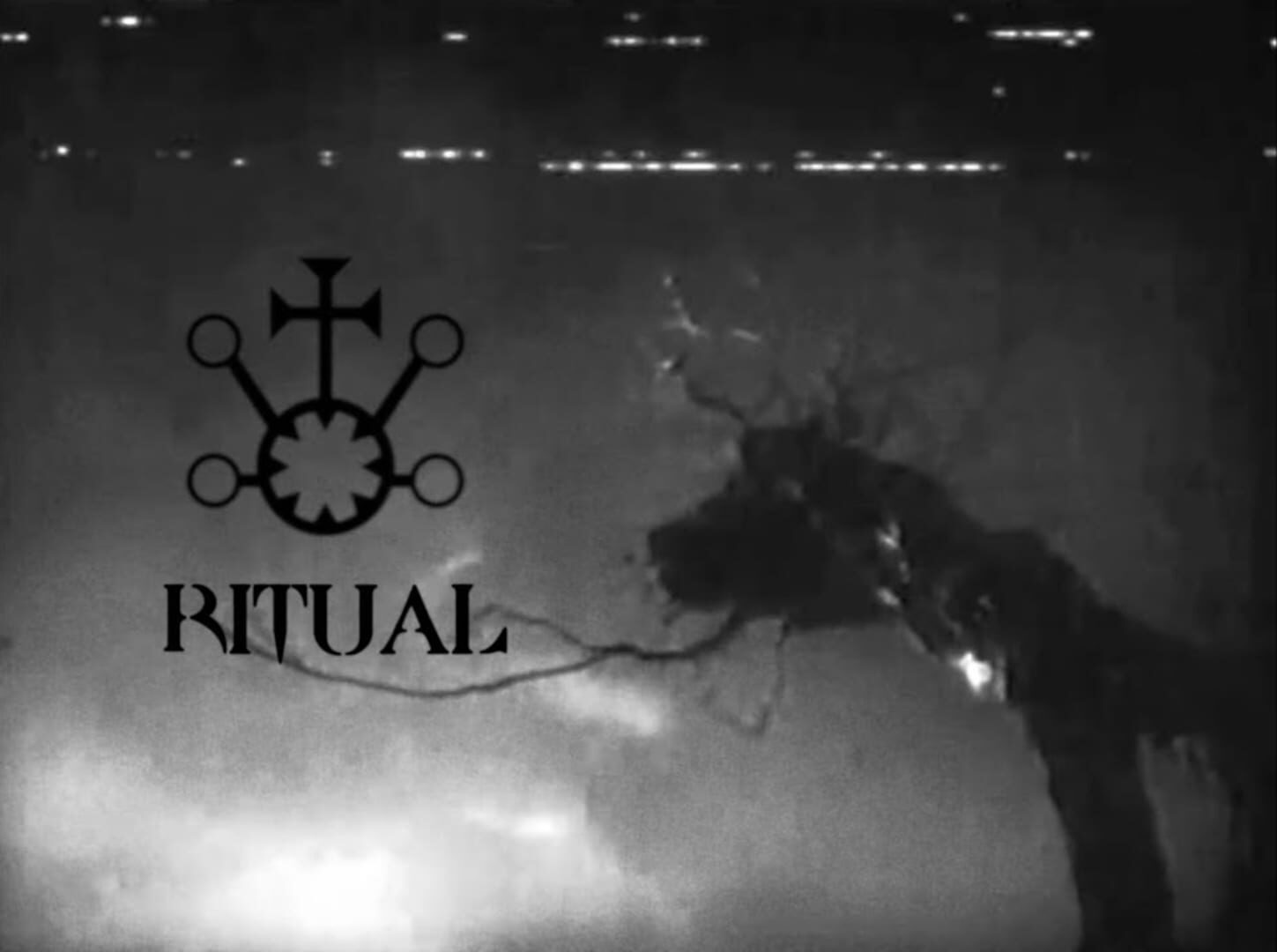Sake in Samurai Games: Ritual, Gameplay, and Narrative Depth